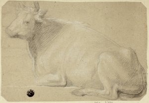 Cow Lying on Haunches