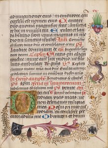 Decorated Initial D