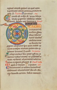Decorated Initial D