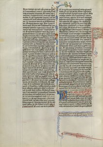 Decorated Initial N by Unknown artist