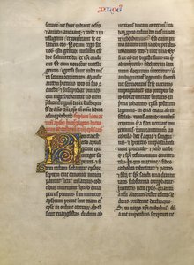 Decorated Initial N by Unknown artist