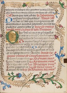 Decorated Initial O