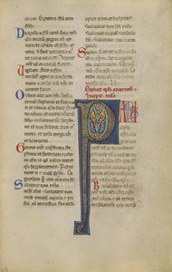 Decorated Initial P by Unknown artist