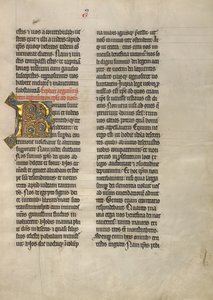 Decorated Initial R by Unknown artist