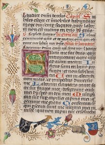Decorated Initial S by Unknown artist