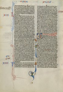 Decorated Initial S by Unknown artist