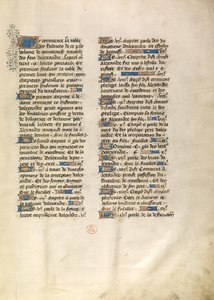 Decorated Text Page by Unknown artist