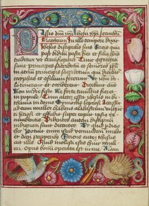 Decorated Text Page by Unknown artist