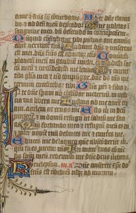 Decorated Text Page by Unknown artist
