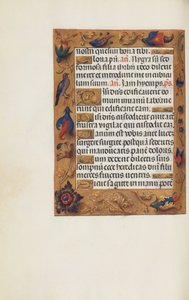 Decorated Text Page by Unknown artist