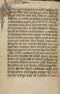 Decorated Text Page