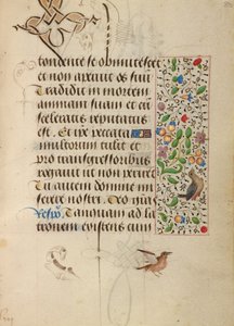 Decorated Text Page by Unknown artist