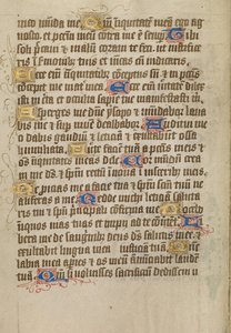Decorated Text Page by Unknown artist