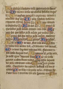 Decorated Text Page by Unknown artist
