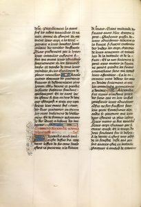 Decorated Text Page by Unknown artist