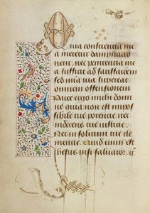 Decorated Text Page