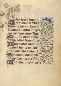 Decorated Text Page by Unknown artist