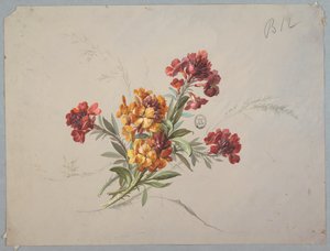 Design for Wallpaper and Textile: Flowers