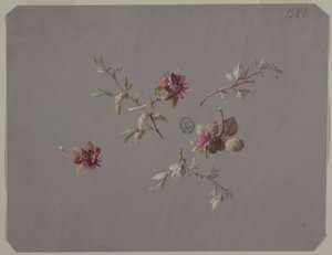 Design for Wallpaper and Textiles: Flowers