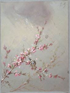 Design for Wallpaper and Textiles: Flowers and Birds