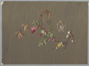 Designs for Wallpaper and Textiles: Flowers