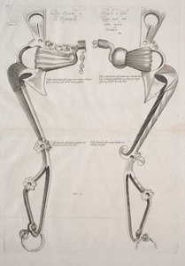 Diagram for Horse