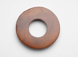 Disk (bi)