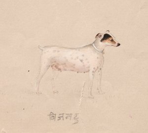 Dog by Unknown artist
