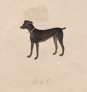 Dog by Unknown artist
