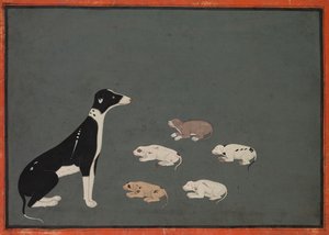 Dog with Pups