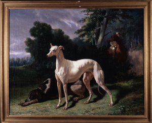 Dogs (Levary)
