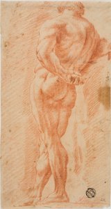 Farnese Hercules