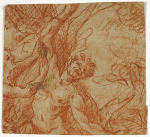 Flaying of Marsyas by Unknown artist