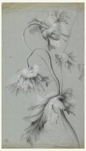 Floral Design by Unknown artist
