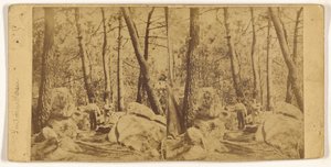 Fontainebleau by Unknown artist