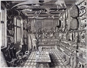 Frontispiece of “Musei Wormiani Historia” showing the interior of the cabinet of curiosities of Ole Worm