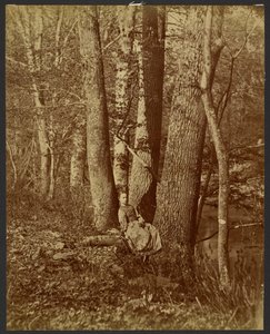 Girl Sitting Between Trees by Unknown artist