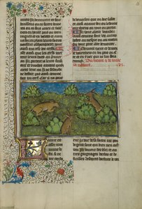 Hares by Unknown artist