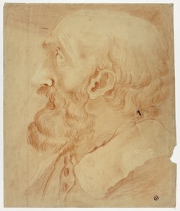 Head of Bearded Man in Profile by Unknown artist
