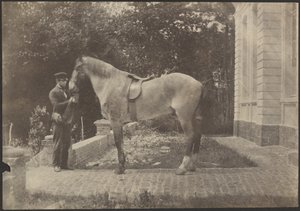 Horse and Man by Unknown artist