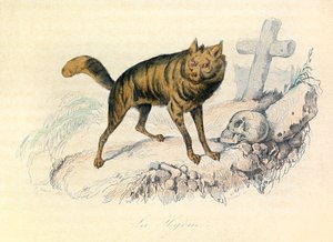 Illustration from the Book 