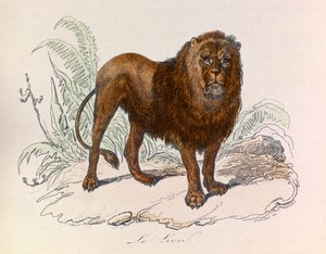 Illustration from the book 