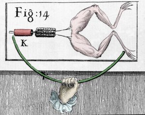Illustration of experiments by Luigi Galvani, Italian physicist and physician (1737 - 1798) explaining the passage of electric current moving the legs of a frog.