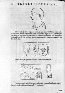 Image of Physiognomy from 