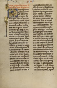 Inhabited Initial N by Unknown artist