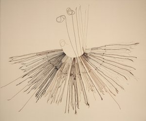 Inka Khipu (Fiber Recording Device) by Unknown artist