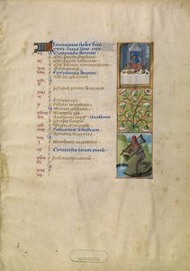 January Calendar Page; Feasting; Aquarius by Unknown artist