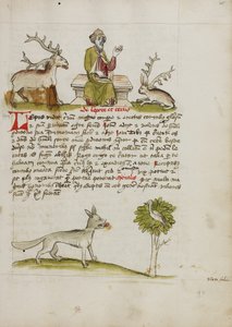 Jupiter as an Elderly Bearded Man Enthroned between a Stag and a Hare; A Wolf under a Tree