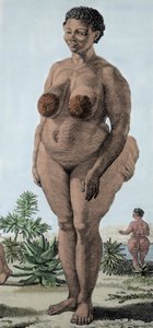 The Hottentot Venus, woman of breed Bochiman; engraving of 1815. by Unknown artist