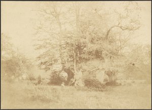 Landscape by Unknown artist